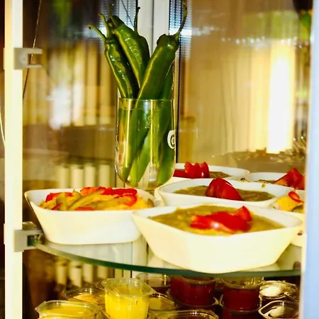 Guest house Pensiunea Drumetul 3*